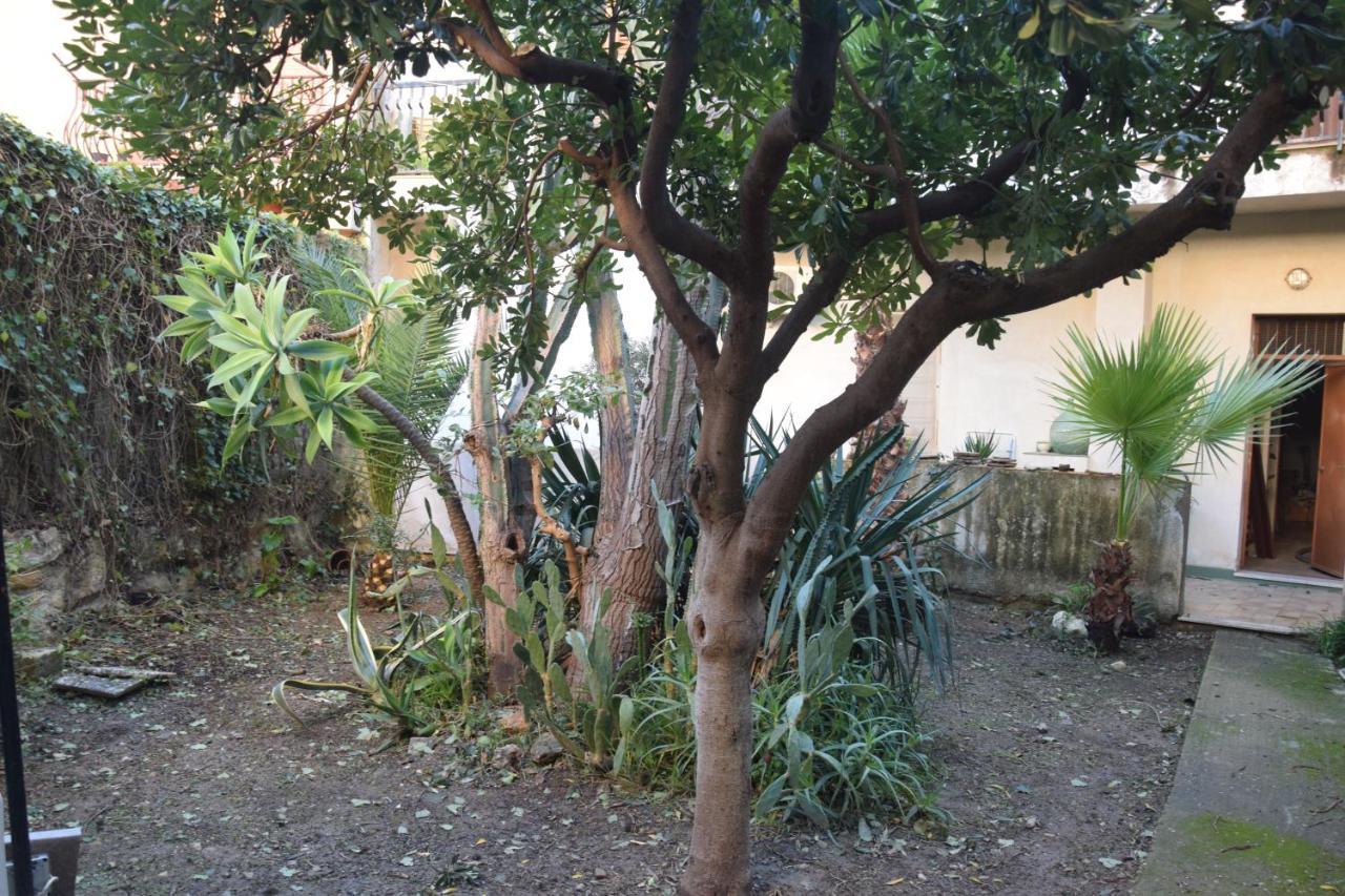 Artroom Garden Ното Екстер'єр фото