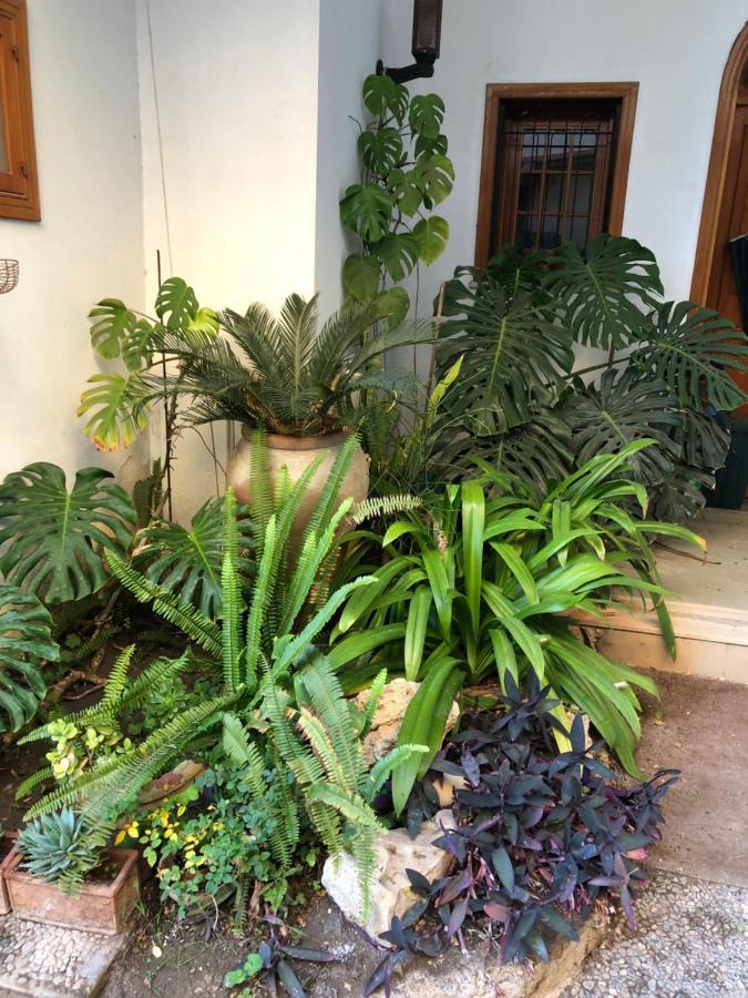 Artroom Garden Ното Екстер'єр фото