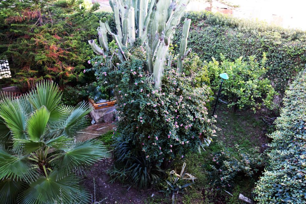 Artroom Garden Ното Екстер'єр фото